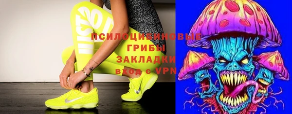 стафф Армянск